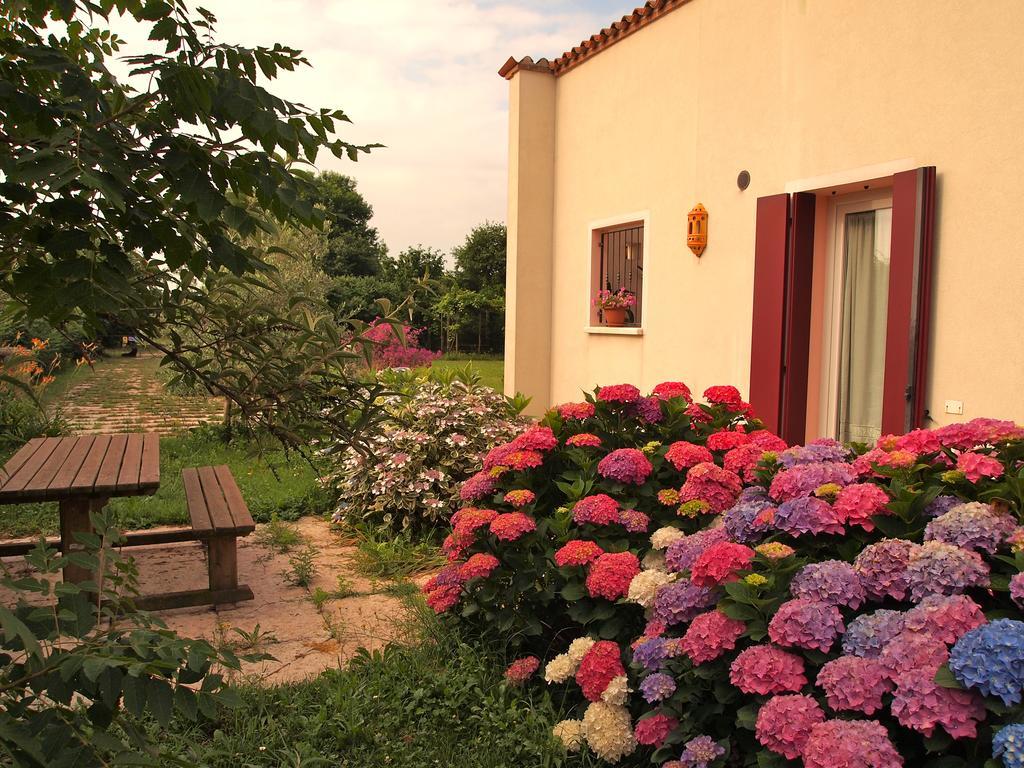 Agriturismo Il Magicorto Cassola ห้อง รูปภาพ