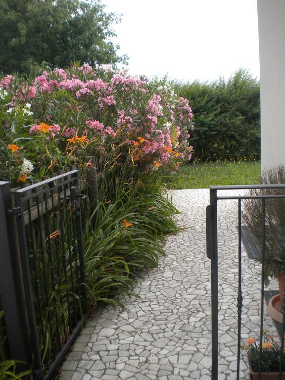 Agriturismo Il Magicorto Cassola ห้อง รูปภาพ