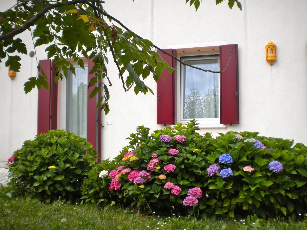 Agriturismo Il Magicorto Cassola ห้อง รูปภาพ