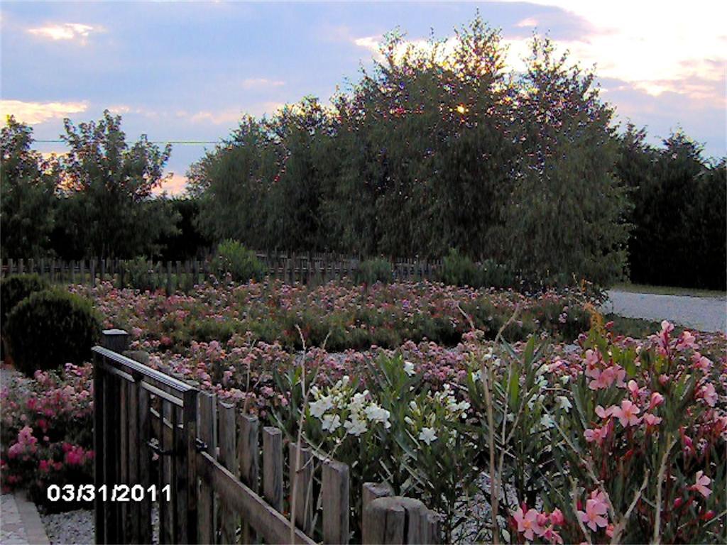 Agriturismo Il Magicorto Cassola ภายนอก รูปภาพ