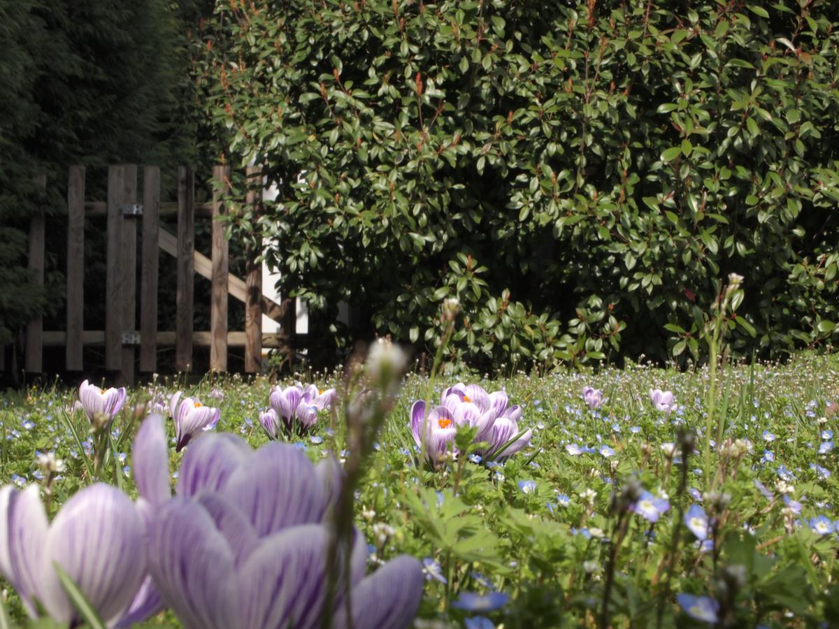 Agriturismo Il Magicorto Cassola ภายนอก รูปภาพ