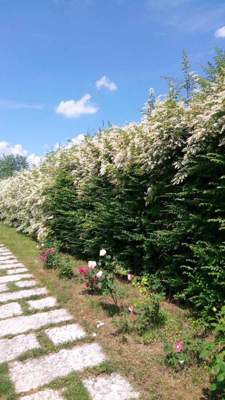 Agriturismo Il Magicorto Cassola ภายนอก รูปภาพ