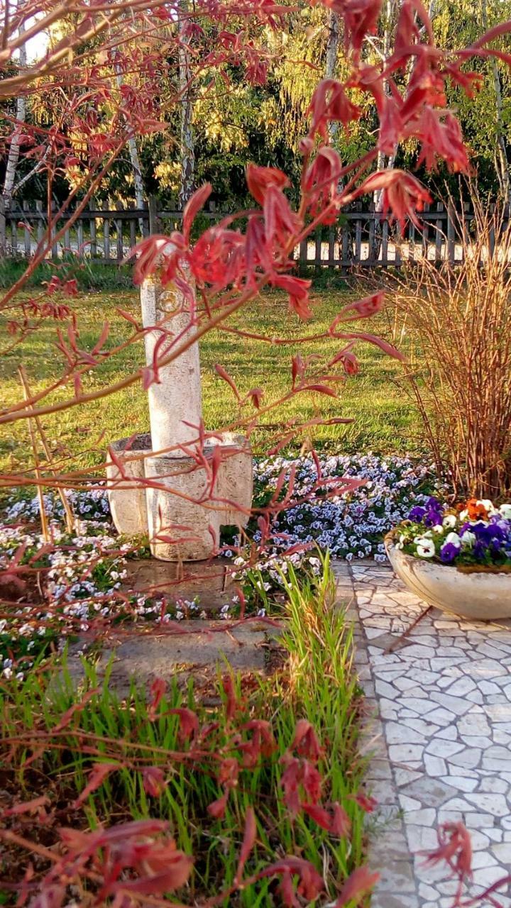 Agriturismo Il Magicorto Cassola ภายนอก รูปภาพ