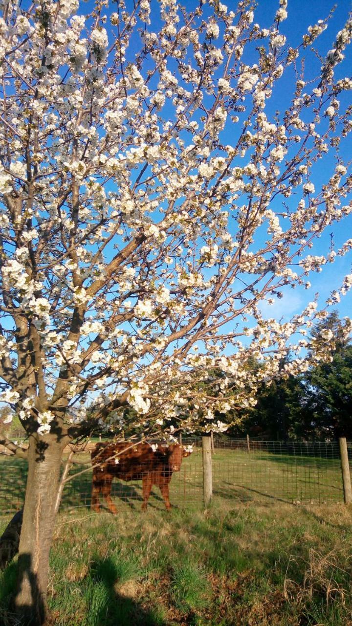 Agriturismo Il Magicorto Villa Cassola ภายนอก รูปภาพ